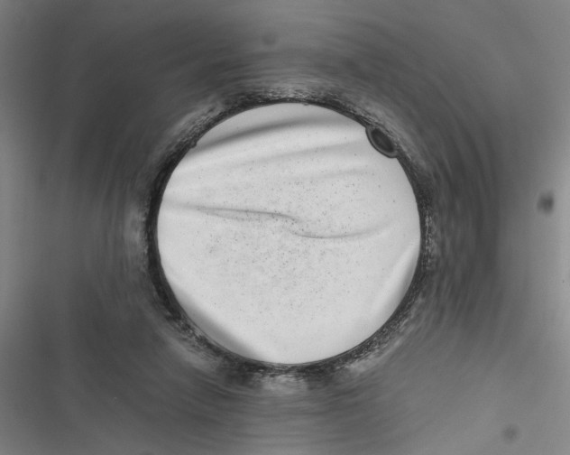 X0000116760258201001141436