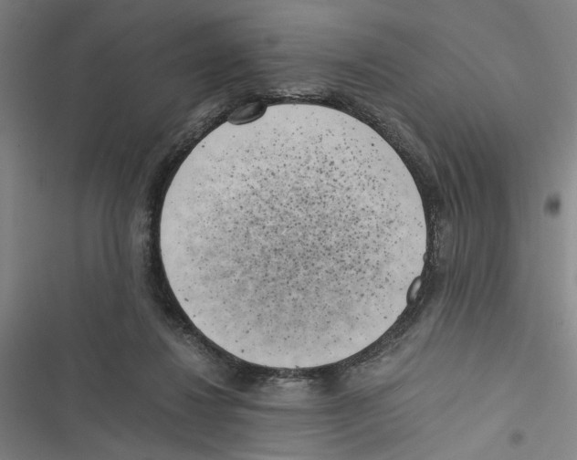 X0000116760260201001141436