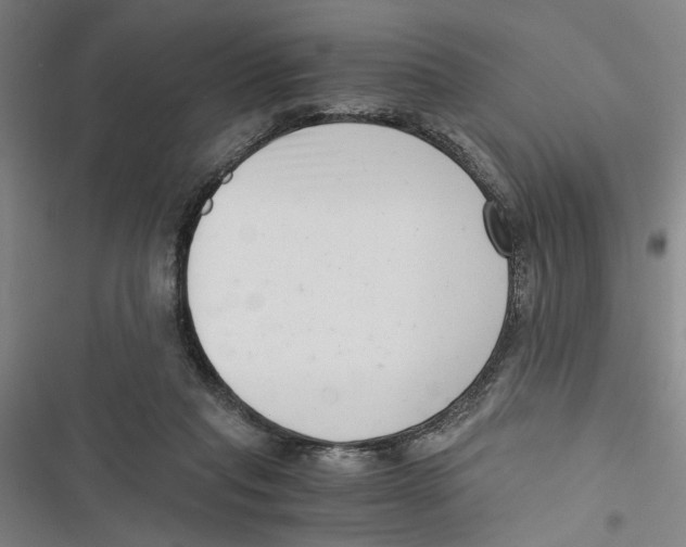 X0000116760261201001141436