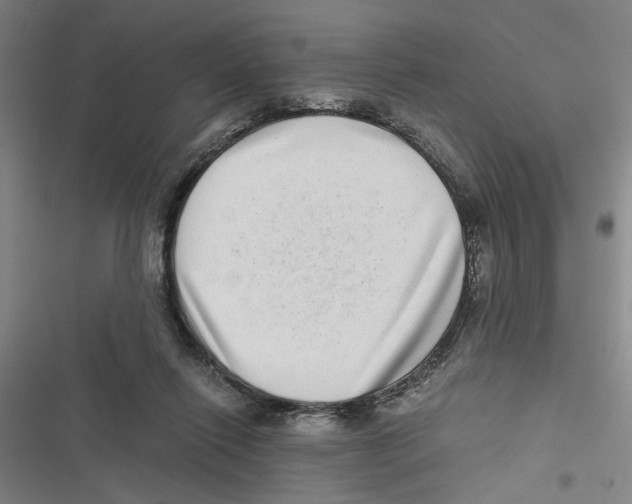 X0000116760262201001141436