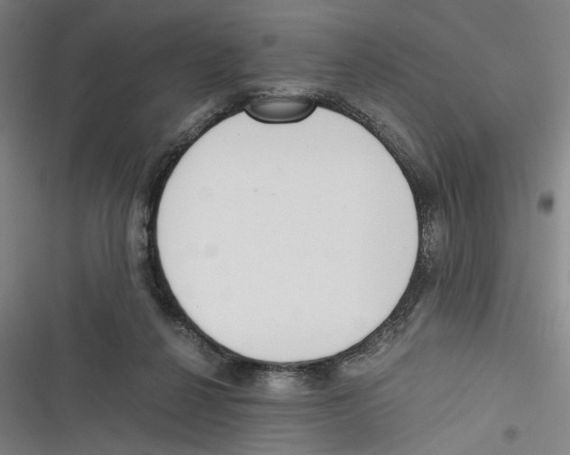 X0000116760264201001141436