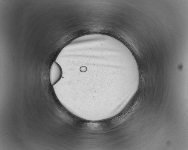 X0000116760265201001141436