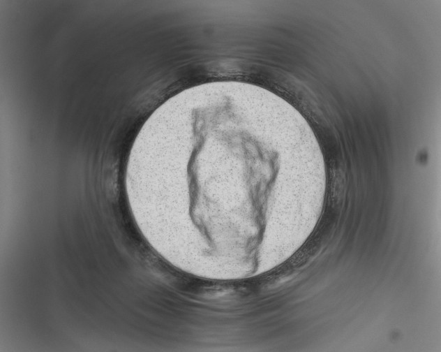 X0000116760267201001141436