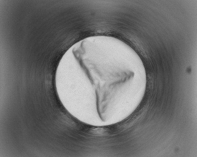 X0000116760269201001141436