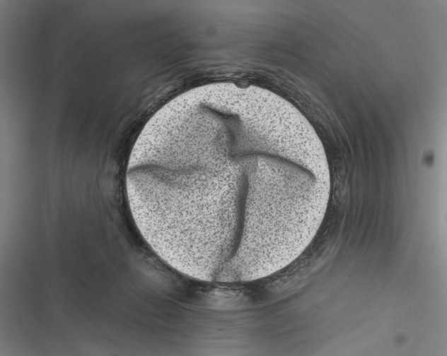 X0000116760270201001141436