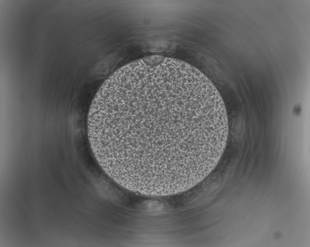 X0000116760272201001141436