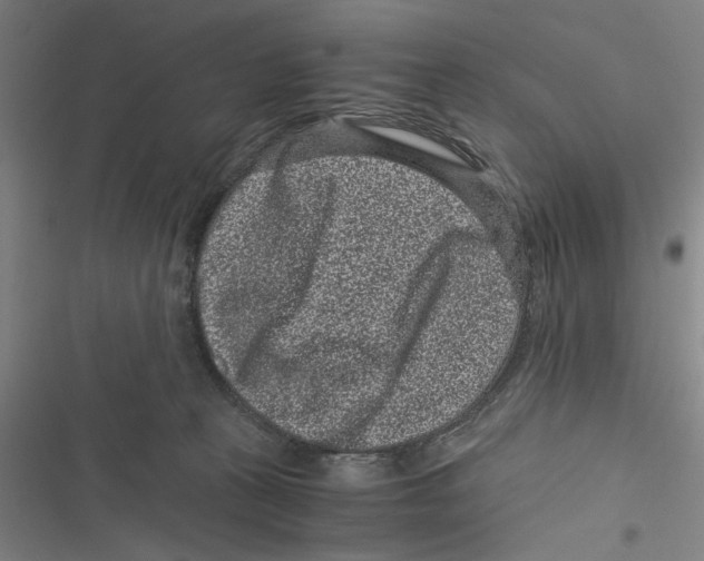 X0000116760273201001141436