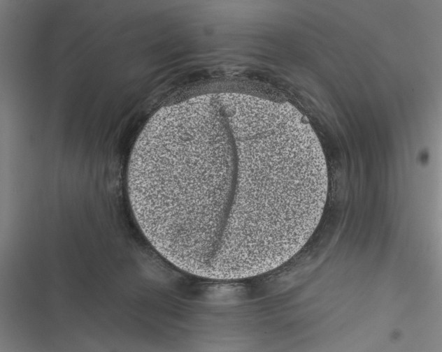 X0000116760274201001141436