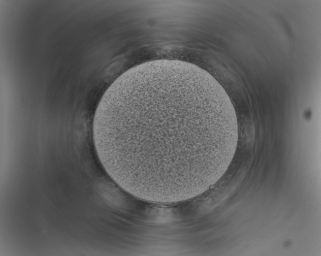 X0000116760276201001141436