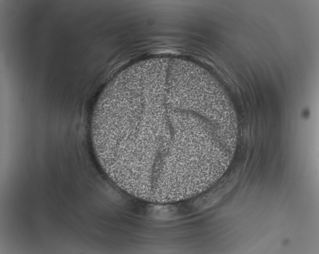 X0000116760277201001141436