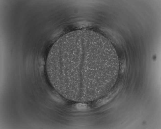 X0000116760279201001141436