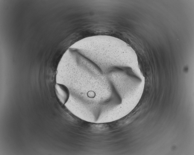 X0000116760281201001141436