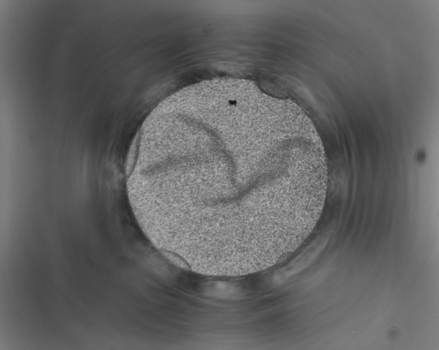 X0000116760285201001141436