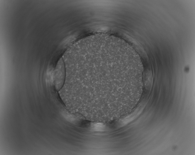 X0000116760287201001141436