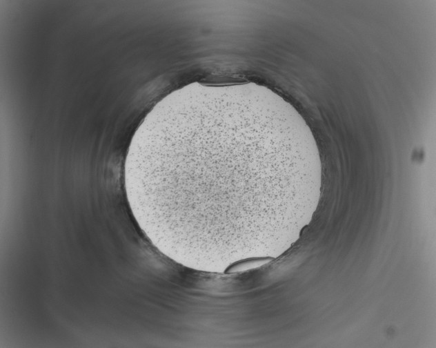 X0000116760288201001141436