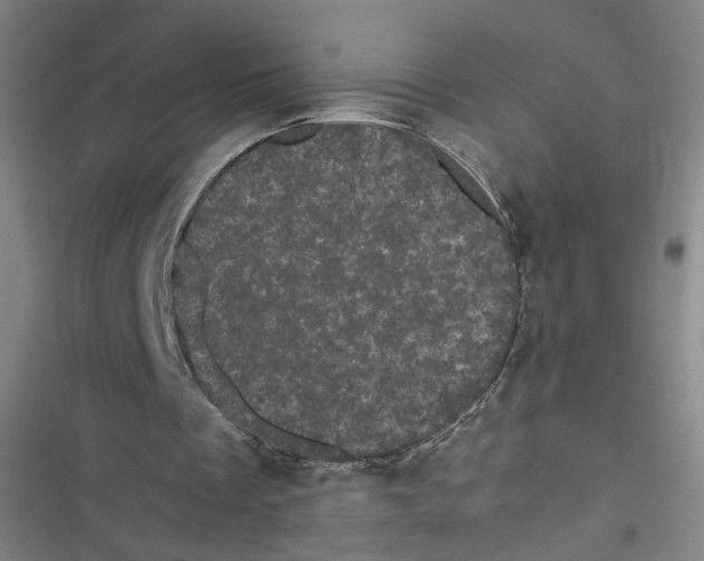 X0000116760289201001141435