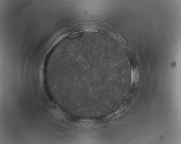 X0000116760291201001141435