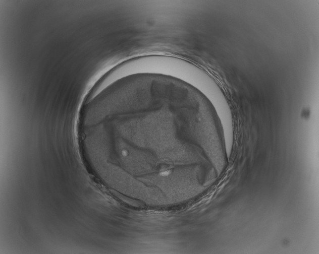 X0000116760292201001141435