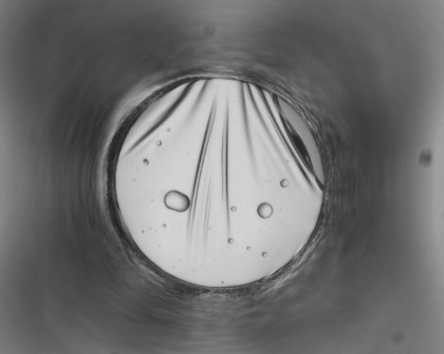 X0000116760294201001141435