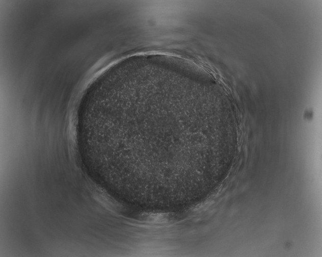 X0000116760295201001141435