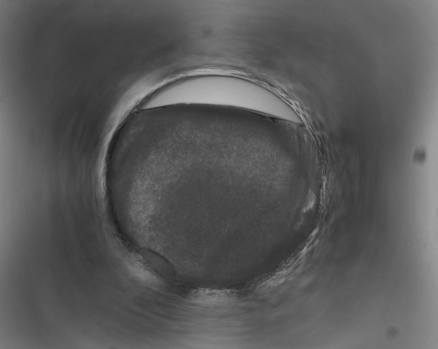 X0000116760296201001141435