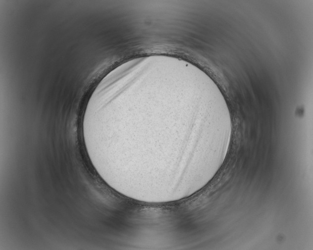 X0000116760298201001141435