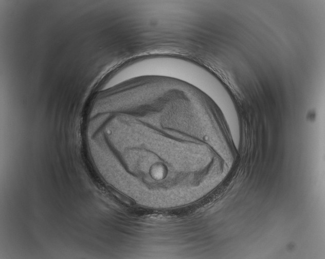 X0000116760300201001141435