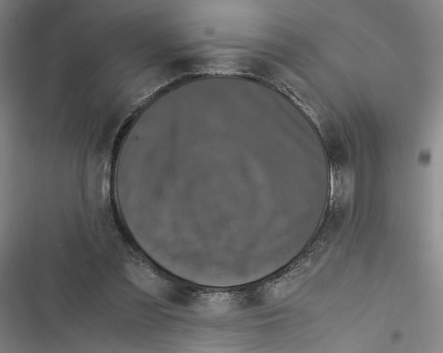 X0000116760301201001141435