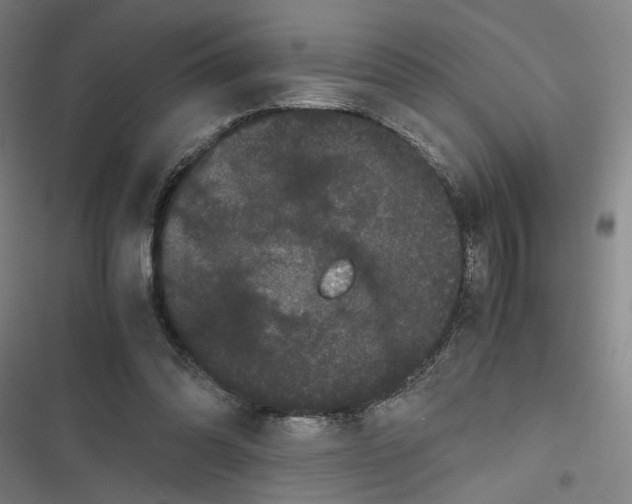 X0000116760302201001141435