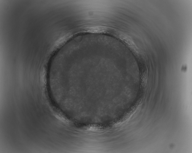 X0000116760303201001141435