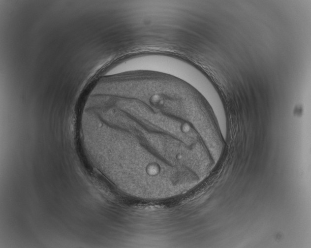 X0000116760304201001141435