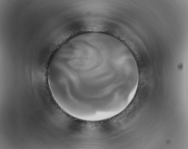 X0000116760305201001141435