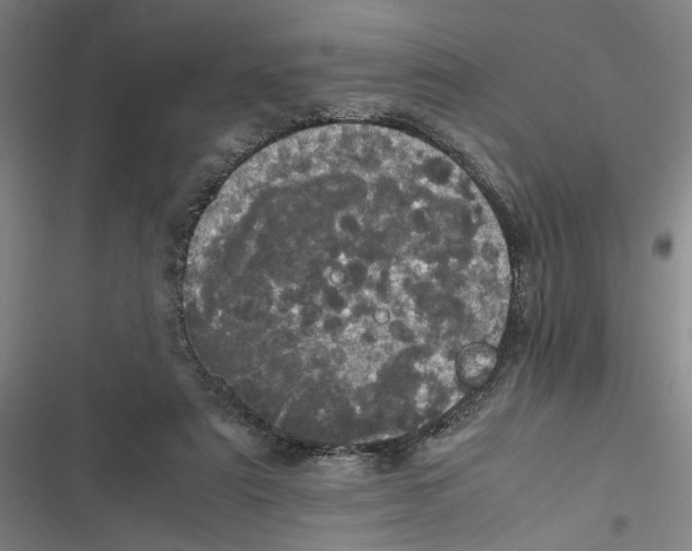 X0000116760307201001141435