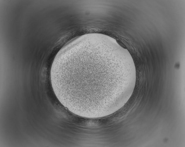 X0000116760308201001141435