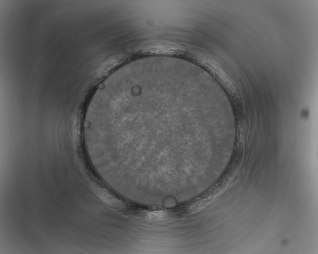 X0000116760309201001141435