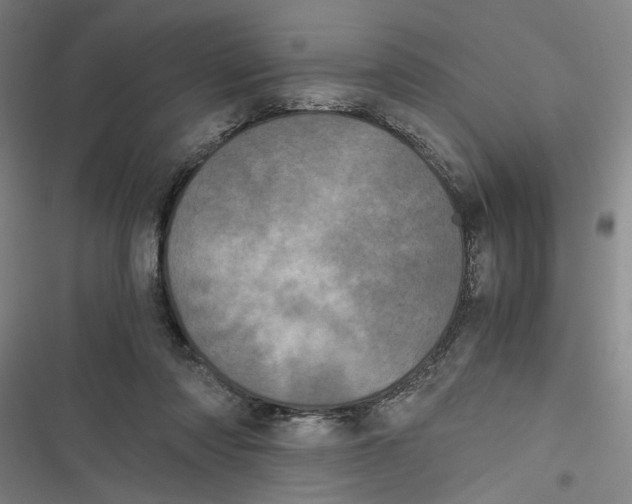 X0000116760310201001141435