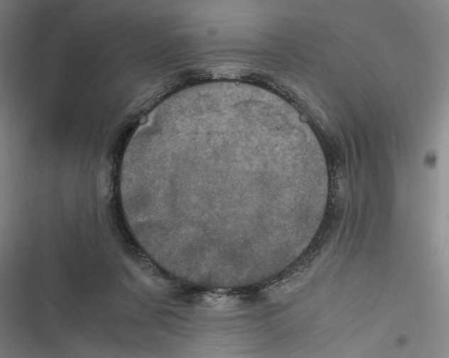 X0000116760311201001141435