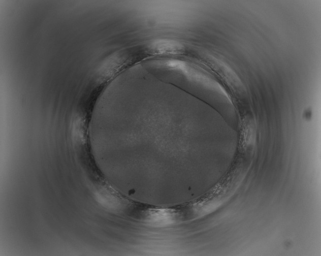 X0000116760316201001141435