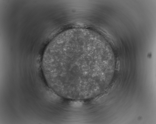 X0000116760318201001141435