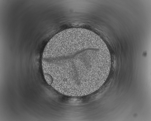 X0000116760319201001141435