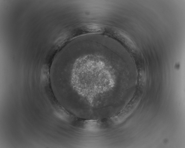 X0000116760320201001141435