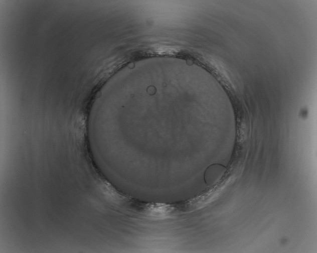 X0000116760321201001141435