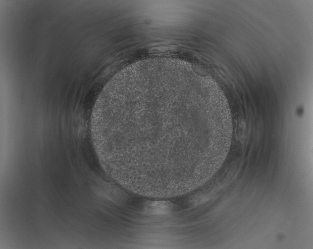 X0000116760324201001141435