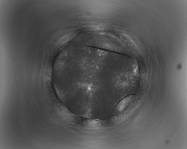 X0000116760325201001141435