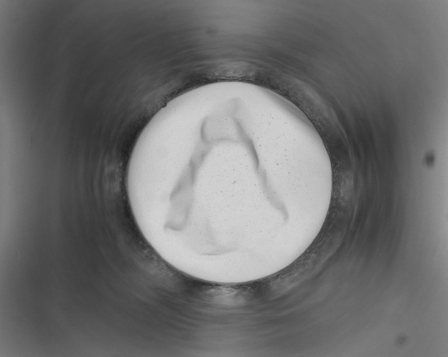 X0000116760326201001141435