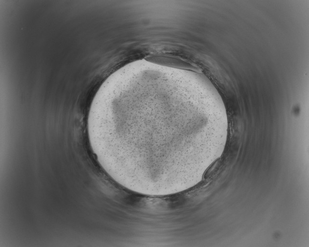 X0000116760327201001141435