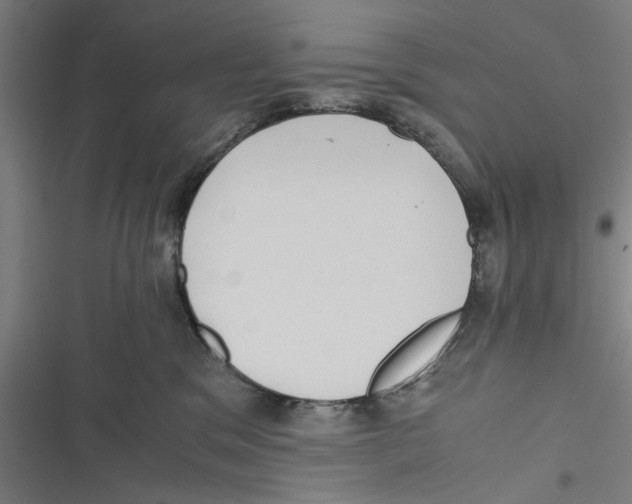 X0000116760329201001141435