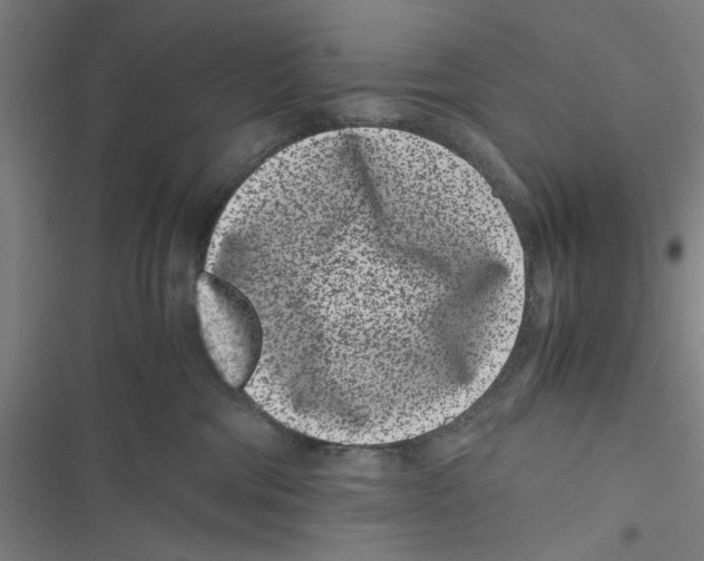 X0000116760330201001141435