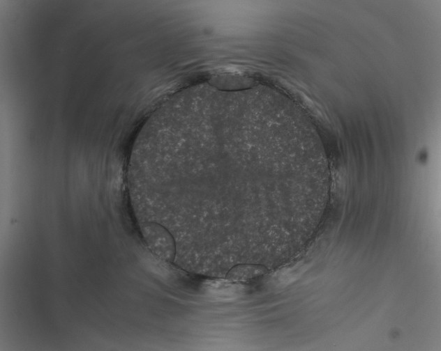 X0000116760331201001141435