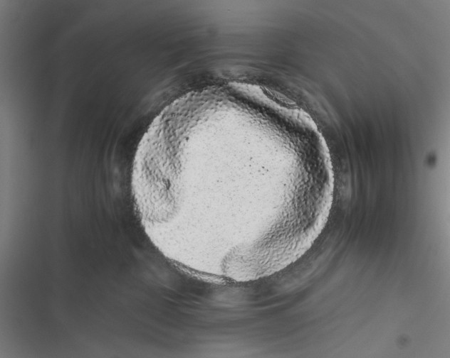 X0000116760332201001141435